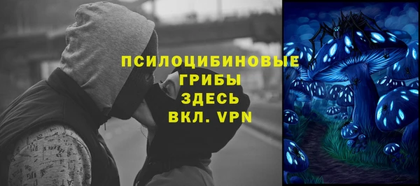 сатива Абаза
