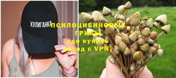 сатива Абаза